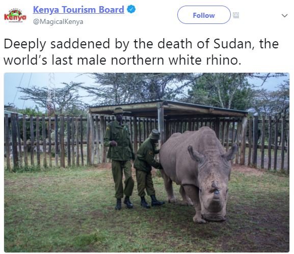 Kenya iourism board magicalkenya follow deeply saddened by the death of sudan th