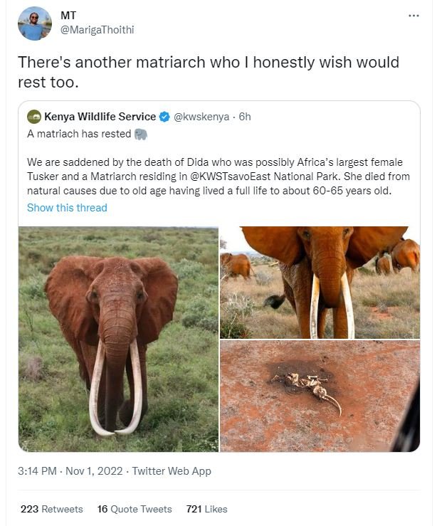 Mt marigathoithi there's another matriarch who honestly wish would rest too_ ken