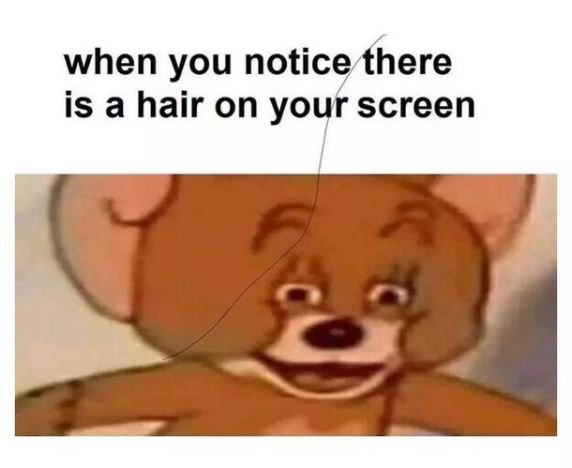 when you notice there is a hair on your screen