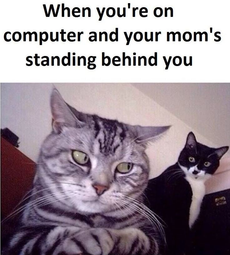 When you're on computer and your mom's standing behind you
