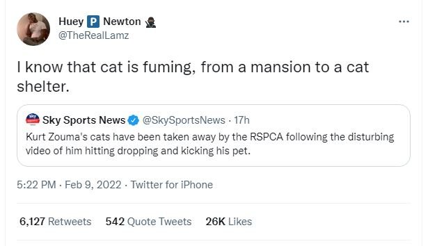 Huey P Newton TheRealLamz know that cat is fuming, from a mansion to a cat shelt
