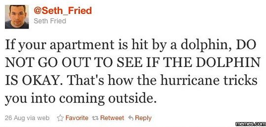 Seth_fried seth frled if your apartment is hit by a dolphin do not go out to see