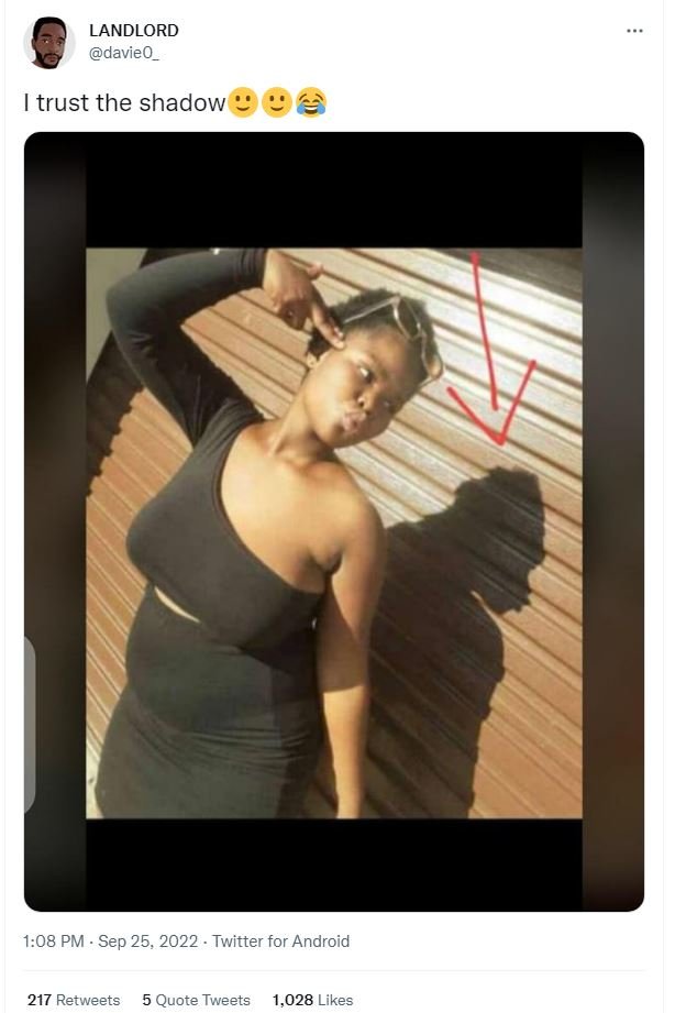 Landlord davieo trust the shadow 1.08 pm sep 25, twitter for android 217 retweet