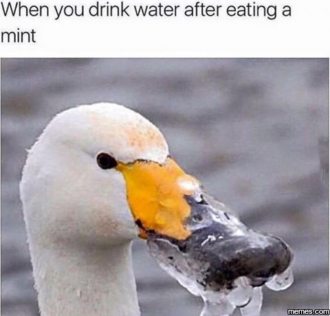When you drink water after eating a mint