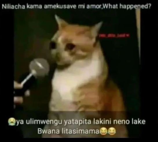 Niliacha kama amekusave mi amor what happened? ya ulimwengu yatapita lakini neno