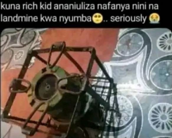 Kuna rich kid ananiuliza nafanya nini na landmine kwa nyumba seriously