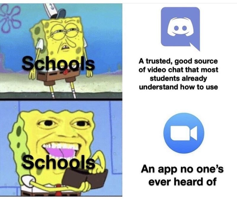 Schools a trusted, good source of video chat that most students already understa