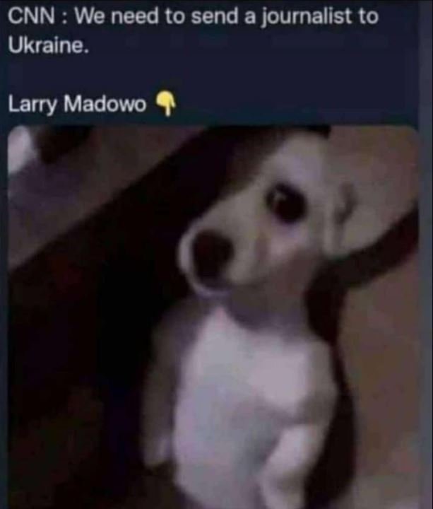 Cnn we need to send a journalist to ukraine. larry madowo