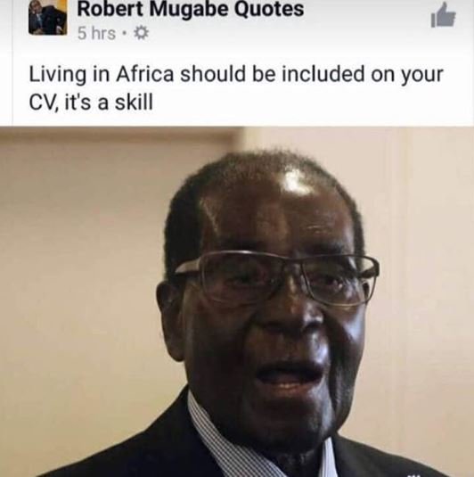 Robert mugabe quotes 5 hrs living in africa should be included on your cvit's a