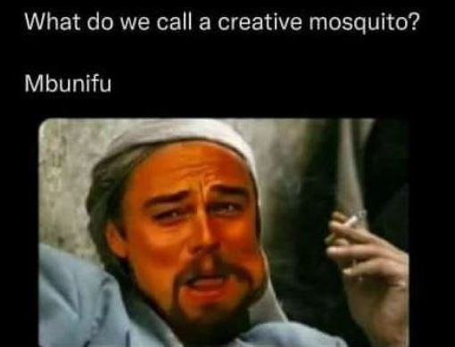 What do we call a creative mosquito? mbunifu