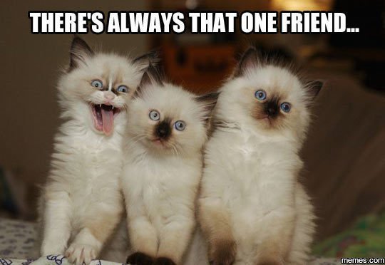 Theres always that one friend. memes com