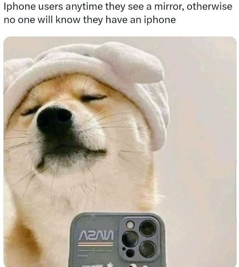 Iphone users anytime they see a mirror otherwise no one will know they have an i