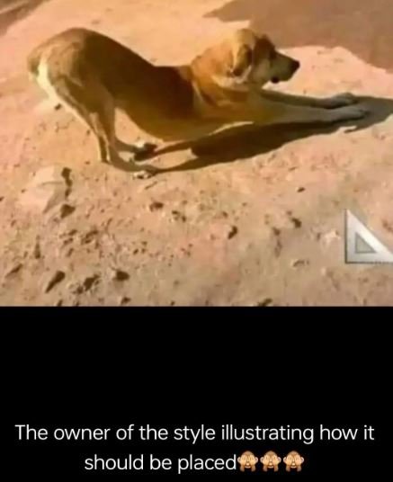 The owner of the style illustrating how it should be placed