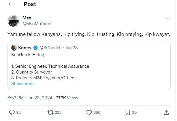 Post mso msomuthoni yamune fellow kenyans, kip trying. kip trusting. kip praying