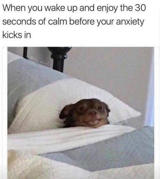 When you wake up and enjoy the 30 seconds of calm before your anxiety kicks in