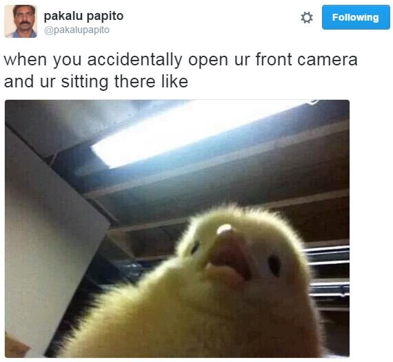 Pakalu papito pakalupapito following when you accidentally open ur front camera