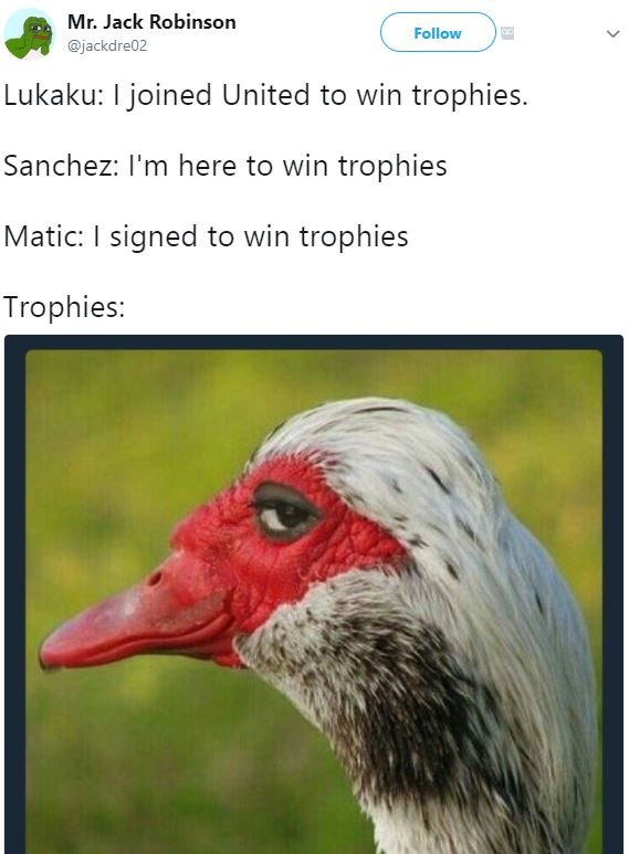 Mr. jack robinson jackdre0z follow lukaku joined united to win trophies. sanchez