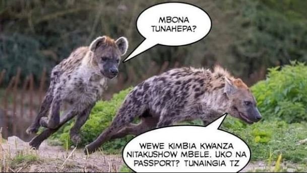 Mbona tunahepa? wewe kimbia kwanza nitakushow mbele. uko na passport? tunaingia