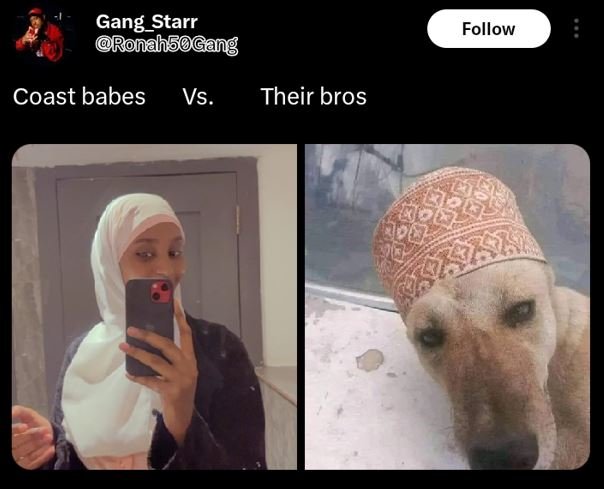 Gang_starr ronah5gang follow coast babes vs. their bros