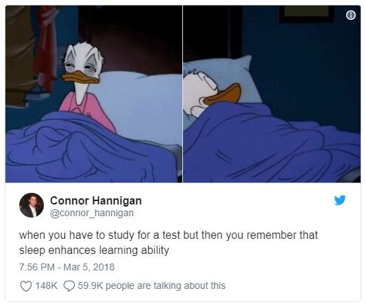 Connor hannigan connor_hannigan when you have to study for a test but then you r
