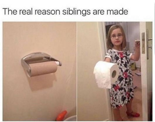 The real reason siblings are made