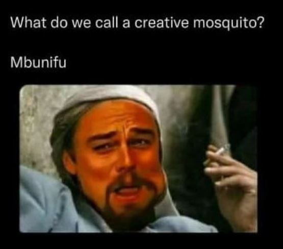 What do we call a creative mosquito? mbunifu