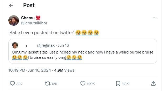 Post chemu jemutaikibor babe even posted it on twitter' 452 52 jreginax jun 16 o