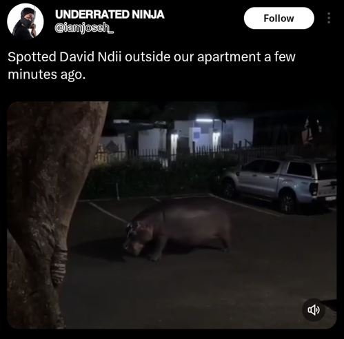 Underrated ninja aujoseh follow spotted david ndii outside our apartment a few m
