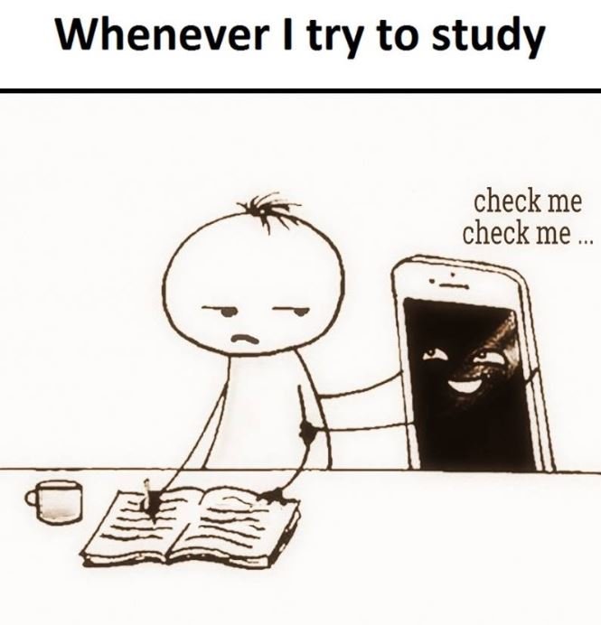 Whenever try to study check me check me