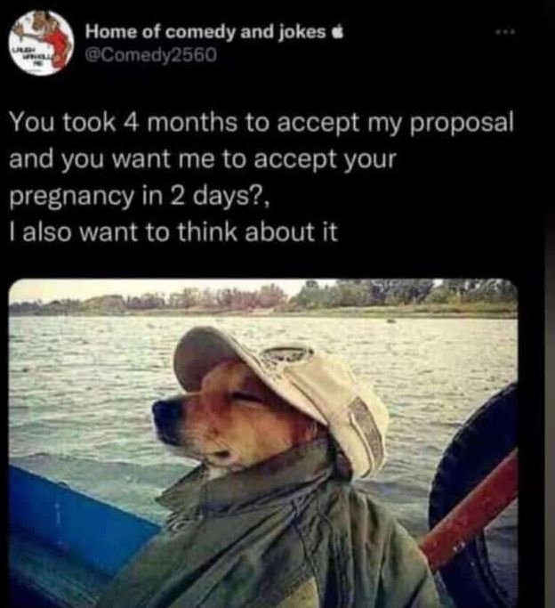 Home of comedy and jokes comedy2560 you took 4 months to accept my proposal and