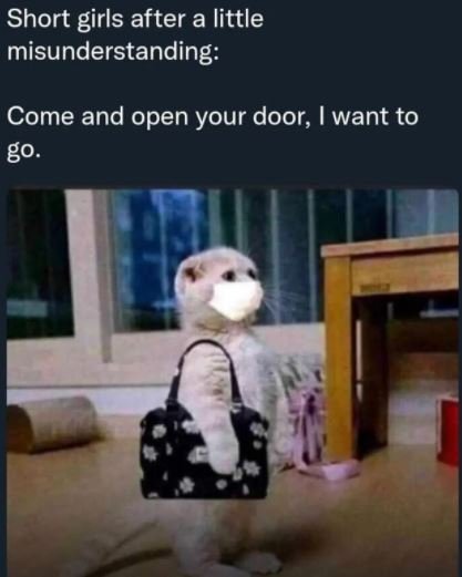 Short girls after a little misunderstanding Come and open your door, want to go