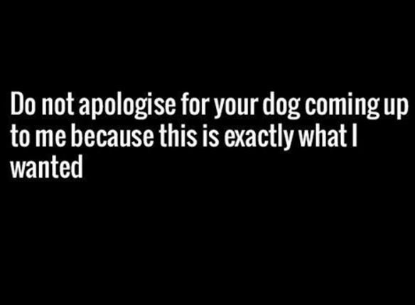 Do not apologise for your 'dog 'comingup to mebecause this is exactly what wante