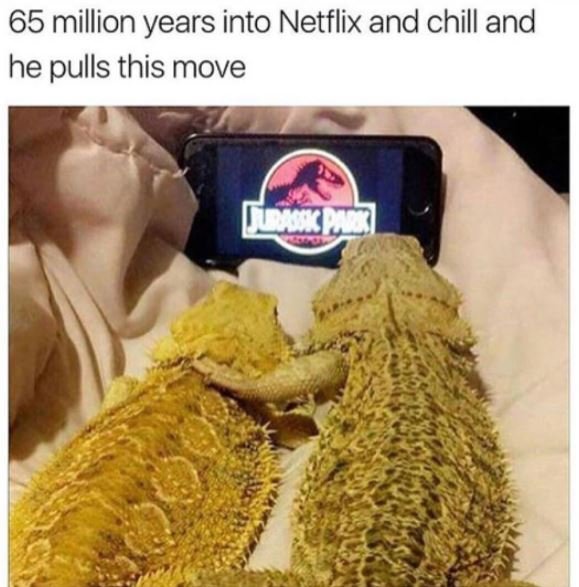 65 million years into netflix and chill and he pulls this move ld