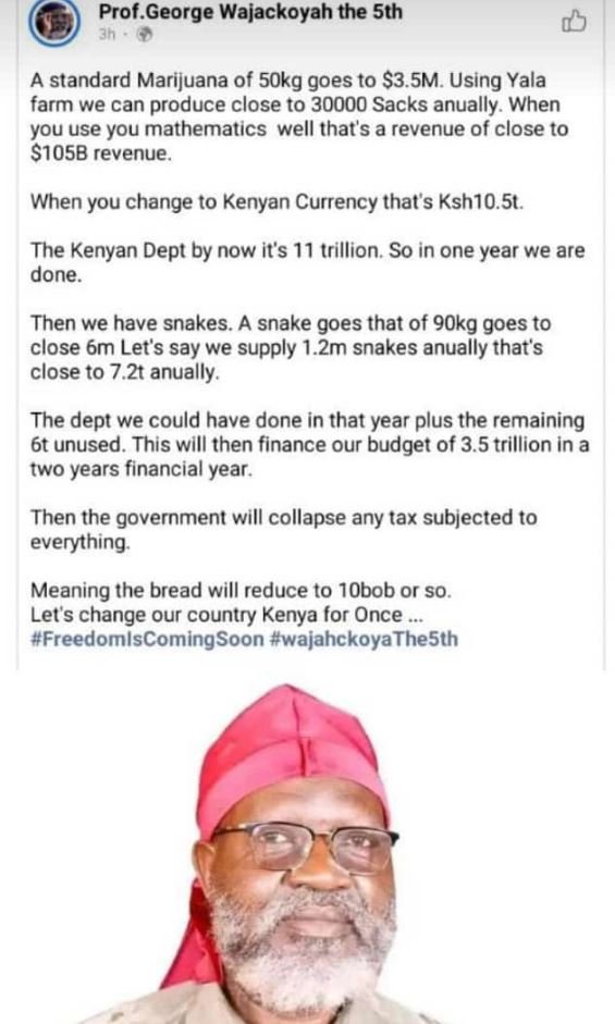 Prof george wajackoyah the sth a standard marijuana of 5okg goes to 3.5m using y