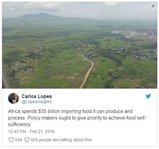 Carlos lopes lopeslnsights africa spends s35 billion importing food it can produ