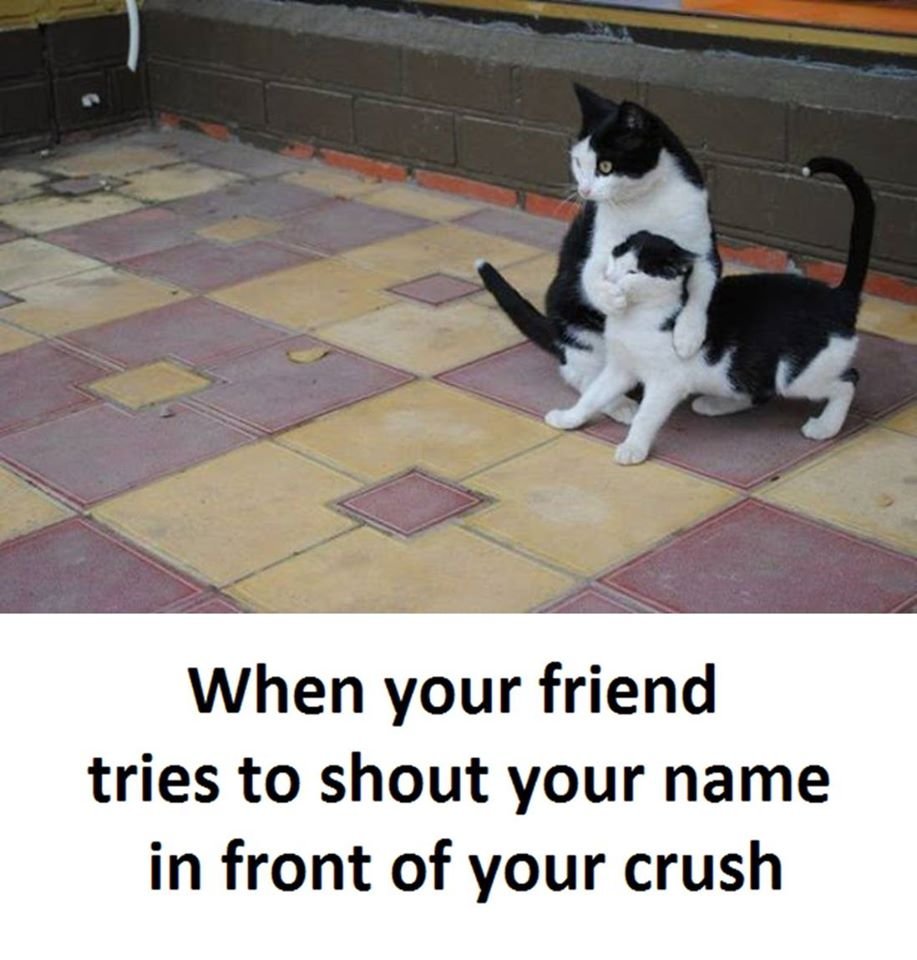 When your friend tries to shout your name in front of your crush