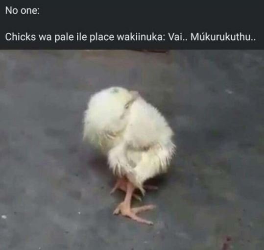 No one Chicks wa pale ile place wakiinuka Vai. Mukurukuthu _