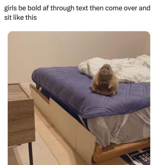 Girls be bold af through text then come over and sit like this