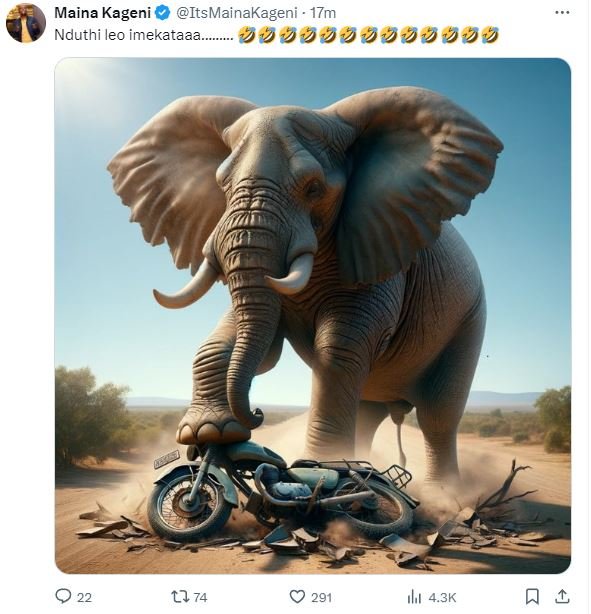 Maina kageni itsmainakageni t7m nduthi leo imekataaa jjjjjjjjjjjj tl 74 291 ıluı