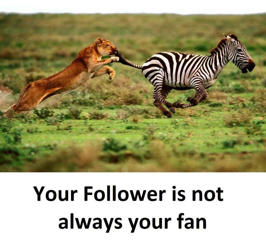 Your follower is not always your fan