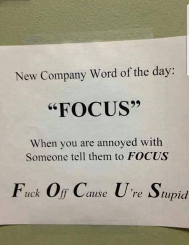 New company word of the day 66 focus? when you are annoyed with someone tell the