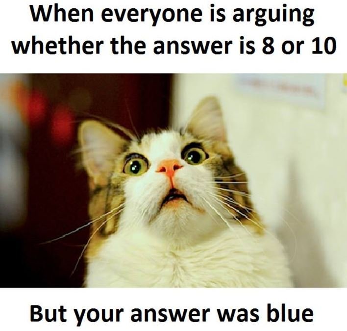 When everyone is arguing whether the answer is 8 or 10 but your answer was blue