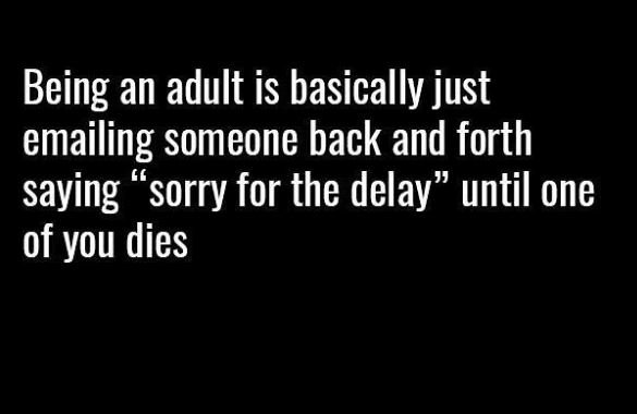 Being an adult is basically just emailing someone back and forth saying sorry fo
