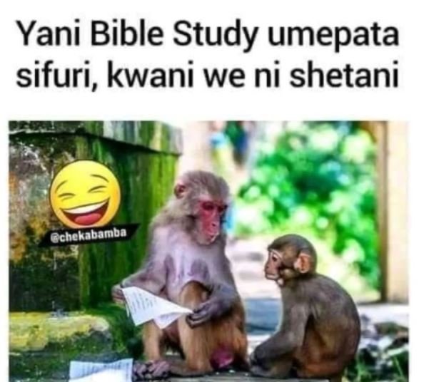 Yani bible study umepata sifuri, kwani we ni shetani chekabamba