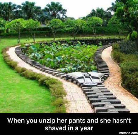 When you unzip her pants and she hasn't shaved in a year memes com