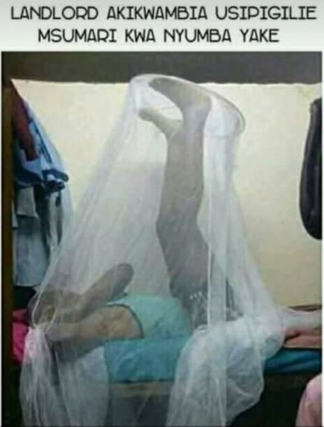 Landlord akikwambia usipigilie msumari kwa nyumba yake