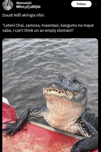 Wamutahi bongoflaikdla follow daudi ndii akiingia ofisi leteni chai, samosa maan