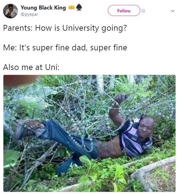 Young black king pyepar follow parents how is university going? me it's super fi