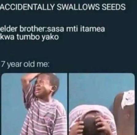 Accidentally swallows seeds elder brothersasa mti itamea kwa tumbo yako 7 year o