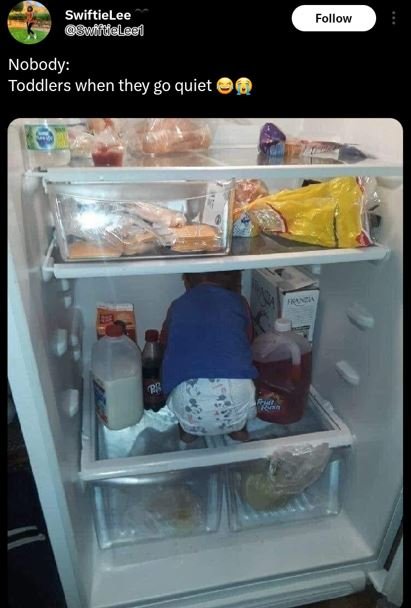 Swiftielee swfdeleei follow nobody toddlers when they go quiet